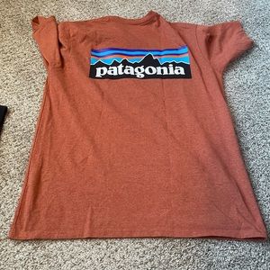 Patagonia Tshirt